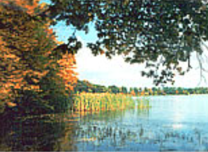 Sanktuarium w Leśniowie